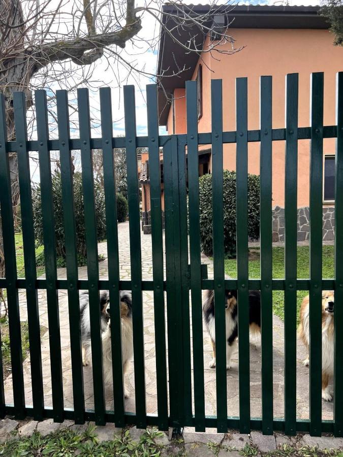 Apartmán Loc.Cioccaie Grosseto Exteriér fotografie